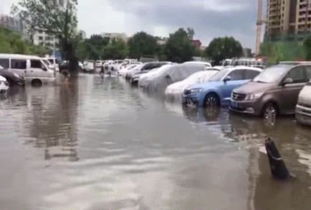 水浸汽车多少厘米
